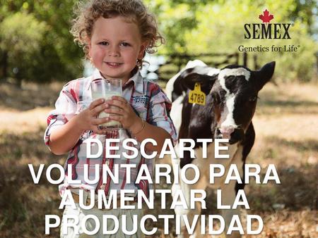 DESCARTE VOLUNTARIO PARA AUMENTAR LA PRODUCTIVIDAD