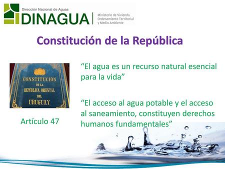 Constitución de la República