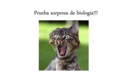 Prueba sorpresa de biología!!!