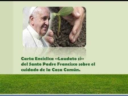 30 frases de la encíclica “verde” del papa Francisco Conoce los importantes elementos sobre sustentabilidad que el papa incorporó en su encíclica.