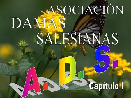 ASOCIACIÓN DAMAS SALESIANAS A. D. S. Capítulo I.