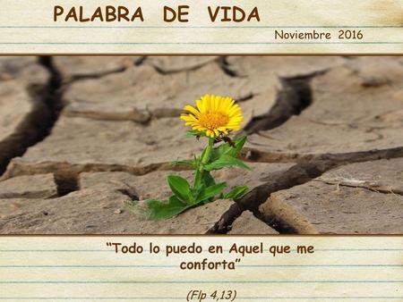 “Todo lo puedo en Aquel que me conforta” (Flp 4,13)