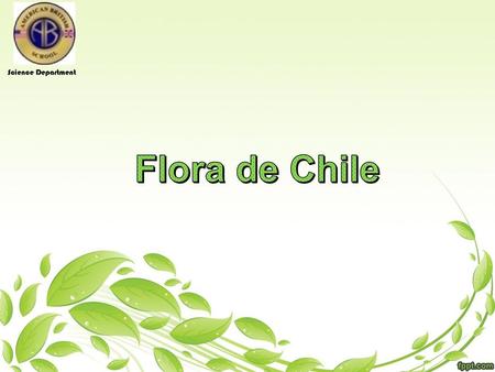Science Department Flora de Chile.