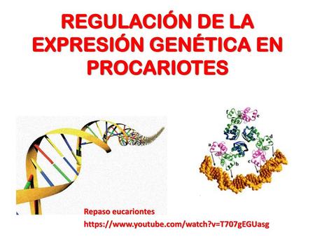 REGULACIÓN DE LA EXPRESIÓN GENÉTICA EN PROCARIOTES