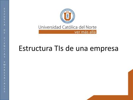 Estructura TIs de una empresa