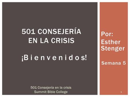 501 Consejería en la crisis