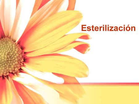 Esterilización.