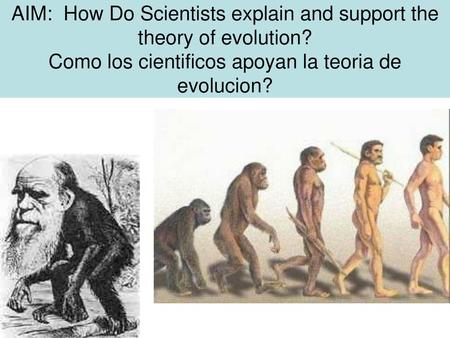AIM: How Do Scientists explain and support the theory of evolution