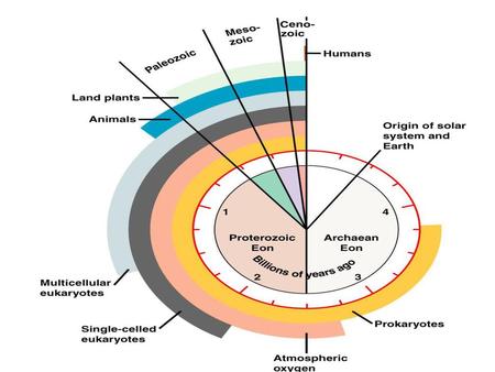 La historia de la deriva continental durante el Fanerozoico