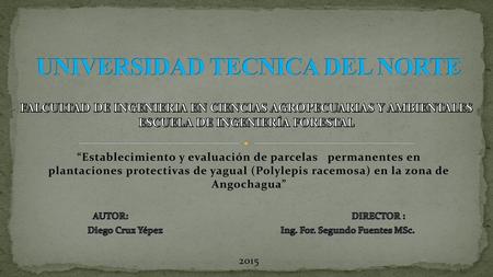 Diego Cruz Yépez Ing. For. Segundo Fuentes MSc.