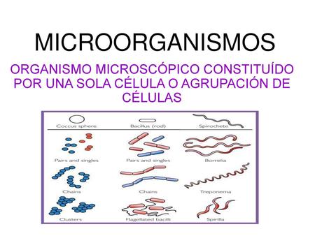 MICROORGANISMOS ORGANISMO MICROSCÓPICO CONSTITUÍDO POR UNA SOLA CÉLULA O AGRUPACIÓN DE CÉLULAS.