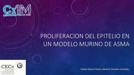 Proliferacion del epitelio en un modelo murino de asma