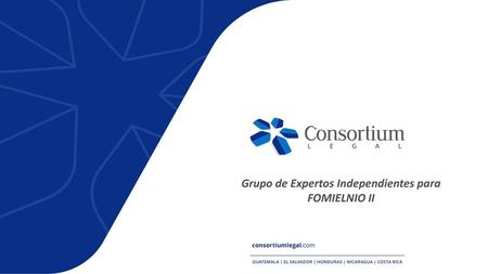 Grupo de Expertos Independientes para FOMIELNIO II