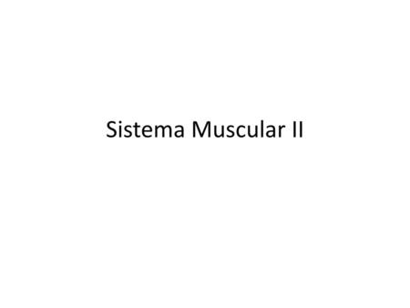 Sistema Muscular II.