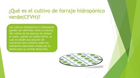 ¿Qué es el cultivo de forraje hidropónico verde(CFVH)?