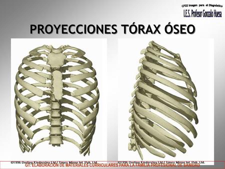 PROYECCIONES TÓRAX ÓSEO