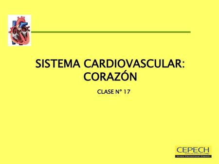 SISTEMA CARDIOVASCULAR: CORAZÓN CLASE Nº 17