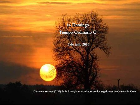 14 Domingo Tiempo Ordinario C