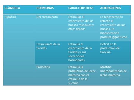 GLÀNDULA HORMONAS CARACTERISTICAS ALTERACIONES Hipófisis