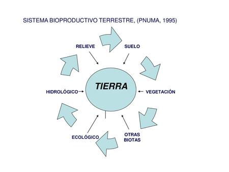 SISTEMA BIOPRODUCTIVO TERRESTRE, (PNUMA, 1995)
