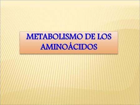 METABOLISMO DE LOS AMINOÁCIDOS