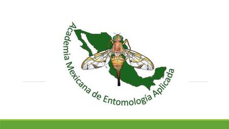 Academia Mexicana de Entomología Aplicada (AMEA)