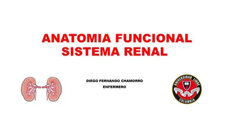 ANATOMIA FUNCIONAL SISTEMA RENAL