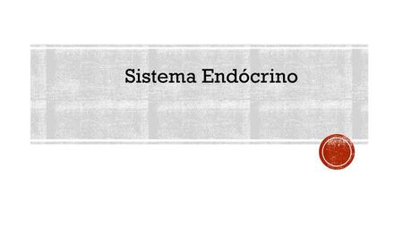 Sistema Endócrino.