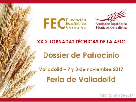 XXIX JORNADAS TÉCNICAS DE LA AETC Valladolid – 7 y 8 de noviembre 2017