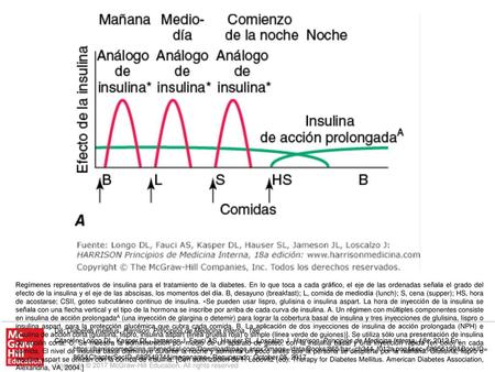 Regímenes representativos de insulina para el tratamiento de la diabetes. En lo que toca a cada gráfico, el eje de las ordenadas señala el grado del efecto.