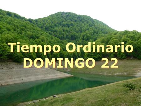 Tiempo Ordinario DOMINGO 22.