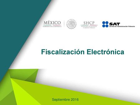 Fiscalización Electrónica