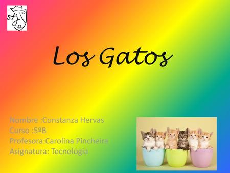 Los Gatos Nombre :Constanza Hervas Curso :5ºB