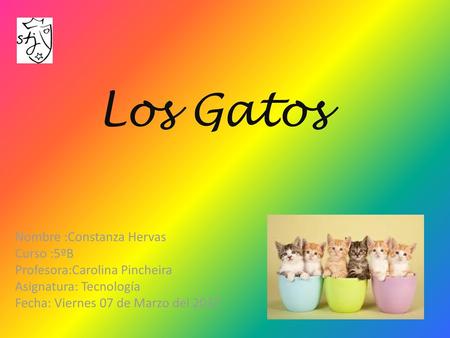 Los Gatos Nombre :Constanza Hervas Curso :5ºB