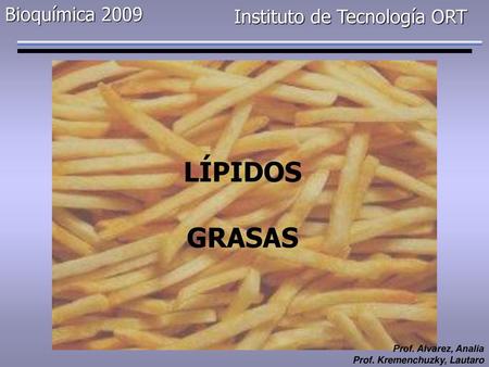 LÍPIDOS GRASAS Bioquímica 2009 Instituto de Tecnología ORT