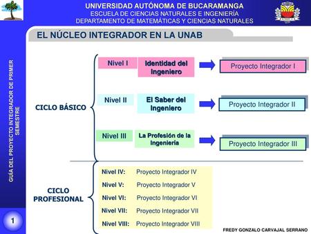 Identidad del Ingeniero La Profesión de la Ingeniería
