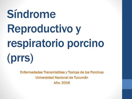 Síndrome Reproductivo y respiratorio porcino (prrs)