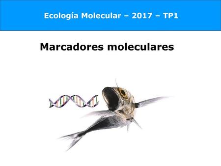 Ecología Molecular – 2017 – TP1
