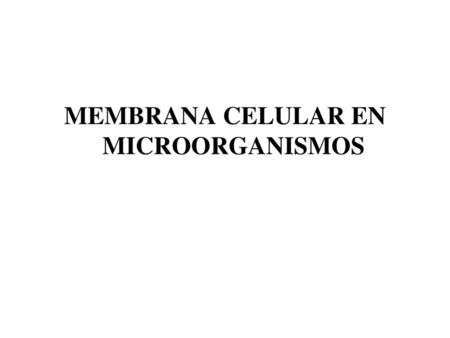 MEMBRANA CELULAR EN MICROORGANISMOS