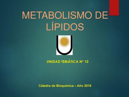 METABOLISMO DE LÍPIDOS