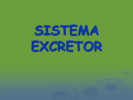 SISTEMA EXCRETOR.