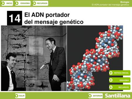14 El ADN portador del mensaje genético ESQUEMA NOTICIA INICIAL