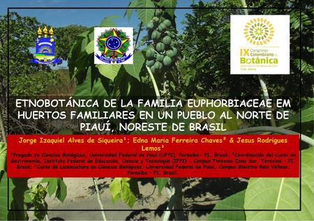 ETNOBOTÁNICA DE LA FAMILIA EUPHORBIACEAE EM HUERTOS FAMILIARES EN UN PUEBLO AL NORTE DE PIAUÍ, NORESTE DE BRASIL Jorge Izaquiel Alves de Siqueira¹; Edna.
