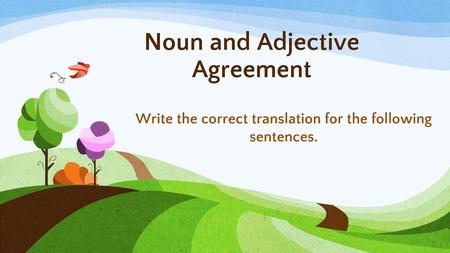 Noun and Adjective Agreement
