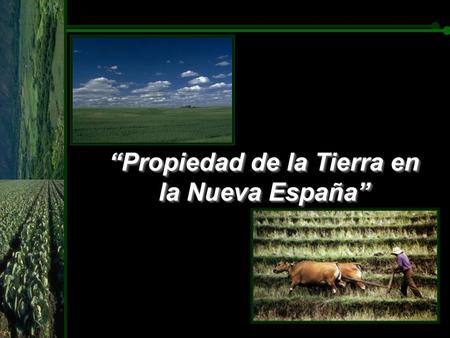 “Propiedad de la Tierra en la Nueva España”