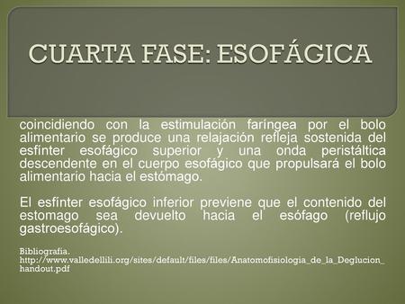 CUARTA FASE: ESOFÁGICA