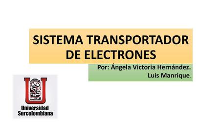 SISTEMA TRANSPORTADOR DE ELECTRONES