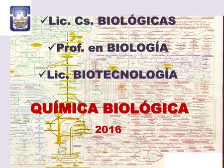 QUÍMICA BIOLÓGICA Lic. Cs. BIOLÓGICAS Prof. en BIOLOGÍA