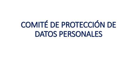 COMITÉ DE PROTECCIÓN DE DATOS PERSONALES