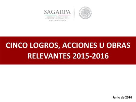 CINCO LOGROS, ACCIONES U OBRAS RELEVANTES